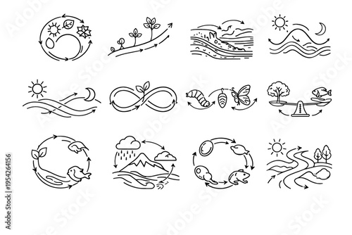 Icon growth image cycle vector simple phase generation ecosystem contour seasonal diagram