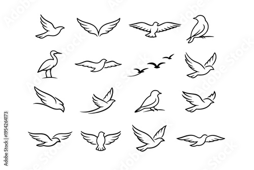 Bird generation wildlife form vector image curve line trace free simple icon