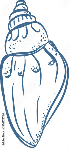 Seashell Coastal Sketch