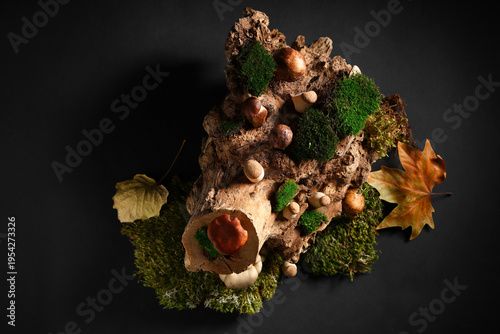 Moss, tree bark, dried leav...