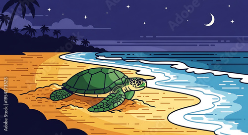 A vector graphic illustration of a sea turtle on a beach at night with a crescent moon and stars in the sky.