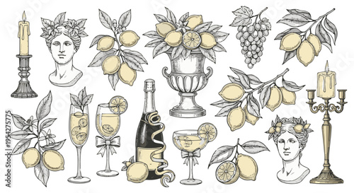 An artistic vintage-style illustration presents a harmonious composition of citrus fruits, refreshing drinks, and ornamental elements.