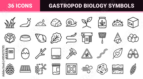 Snail and Gastropod Biology Monoline Icon Set for Scientific Research and Garden Wildlife Analysis featuring Minimalist Geometric Line Art