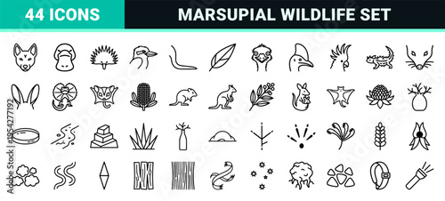 Australian Wildlife and Marsupial Biology Outline Icons, Ultra-Minimalist Geometric Line Art for Commercial Interface and Education Design.
