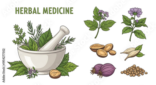 A vector graphic illustration of herbal medicine elements including a mortar and pestle with various plants and herbs