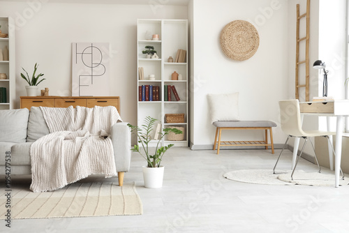 Interior of stylish living room with grey sofa, houseplant and shelving unit