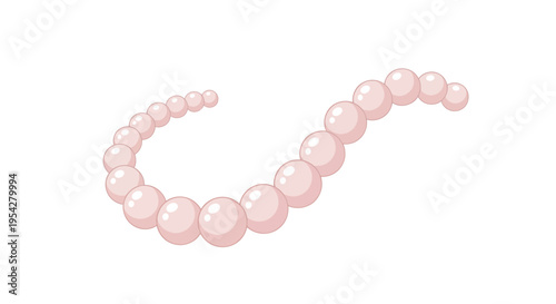 Pearl necklace image, vector illustration, jewelry design, fashion accessory, elegant style