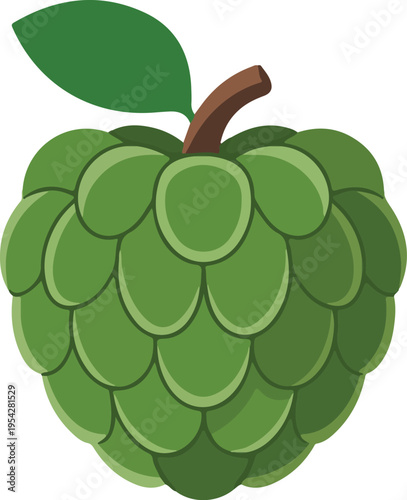 Fresh green custard apple fruit with leaf isolated on white background sugar apple or cherimoya vector botanical illustration.