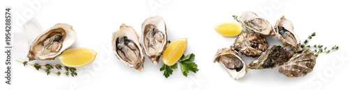 Foto Set of fresh raw oysters on white background