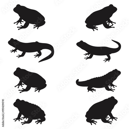 Amphibian Silhouettes Collection - Frogs and Salamanders in Various Poses.