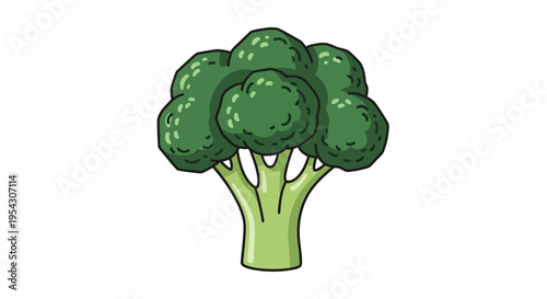 A vibrant and healthy fresh green broccoli illustration on a white background representing nutritious food and healthy eating habits