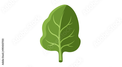 A vibrant green spinach leaf illustration, showcasing its healthy and natural appeal