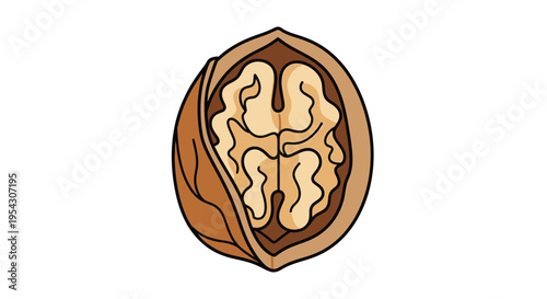 Detailed illustration of a fresh walnut, cracked open to reveal its healthy and nutritious kernel. Perfect graphic for natural food, organic ingredients, and wholesome eating concepts