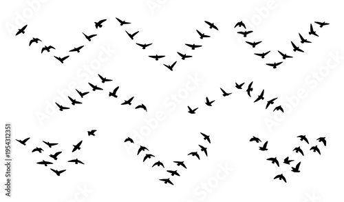 Bird flock silhouette set with V shape migration, scattered flight, and sky formation patterns vector