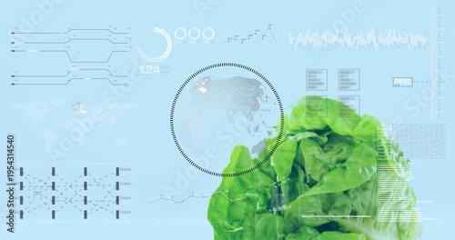 Scan completing and ring cycling, lettuce entering, unfurling, overlaying HUD, creating data reveal