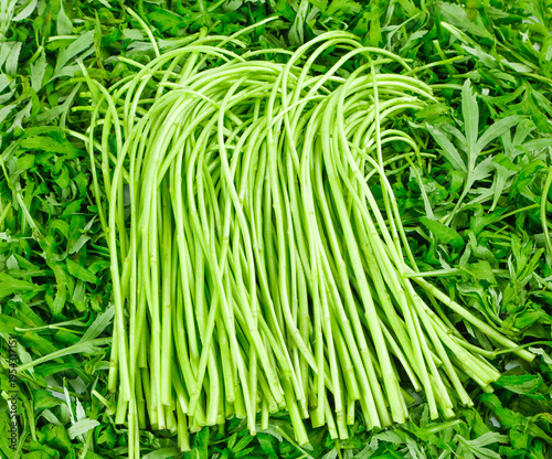Fresh Green Vegetable Stalks Bundle on Leafy Greens Background - Healthy Organic Produce