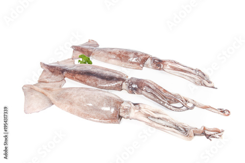Fresh Raw Squid Seafood Delicacies Studio Photography on White Background