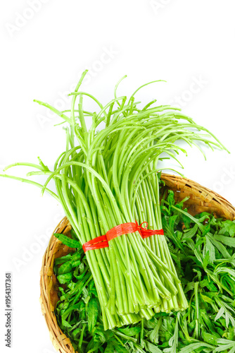 Fresh Green Vegetables in Wicker Basket - Jiangxi Province China Studio Photography