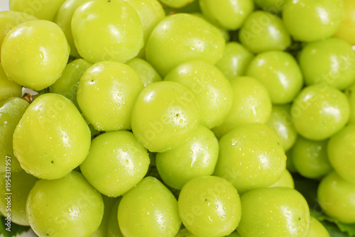 Fresh Green Seedless Grapes from Yunnan China - Studio Photography with Water Droplets