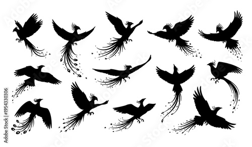 Magical bird and phoenix silhouette set with fantasy flying flocks vector