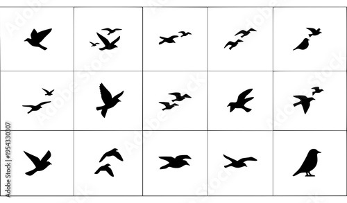 Black bird flock icon pack for UI web and infographic design vector