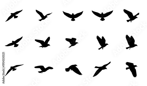 Bird wing movement icon pack showing step-by-step flight in formation vector