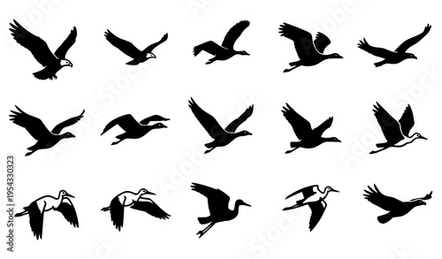 Migratory bird icon pack with eagles geese storks and swallows flying south silhouettes vector