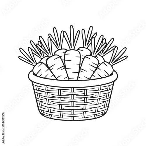 Wicker Basket Full of Fresh Carrots Outline Drawing Black and White Line Art Coloring Page Vector Illustration
