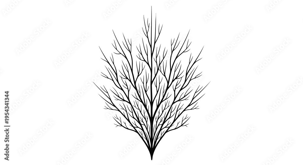 Fototapeta premium A minimalist illustration of a bare tree branch on a white background.