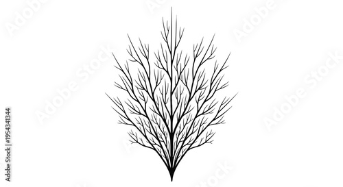 A minimalist illustration of a bare tree branch on a white background.