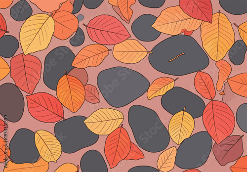 Colorful leaves and smooth stones cover the ground during autumn season in a park or forest setting in the afternoon light