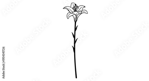 A simple black and white line drawing of a single stemmed flower with leaves.
