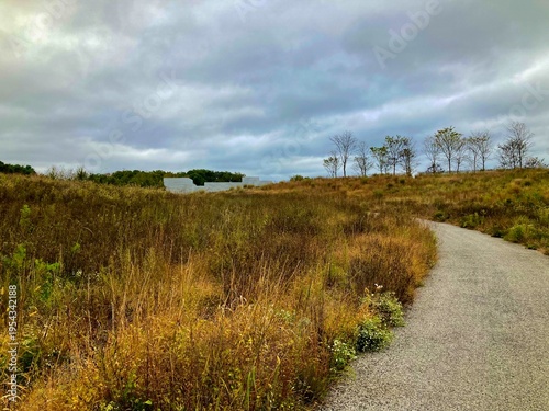 Winding Path Through Golden Field Under Cloudy Sky