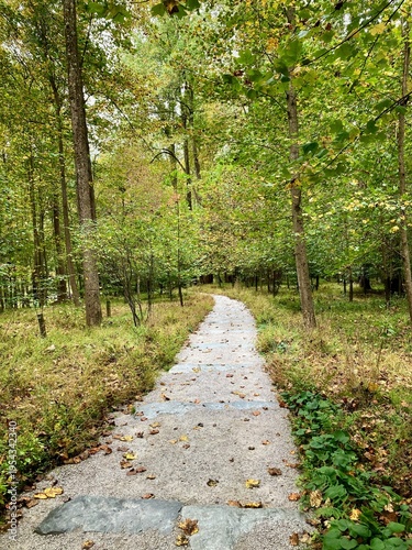 path in the woods