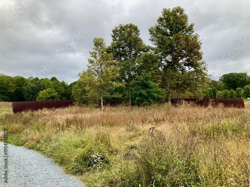 Natural landscape with trees and grassy field under cloudy sky