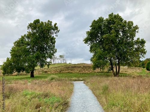 Gravel path leading through meadow between two trees under cloudy sky