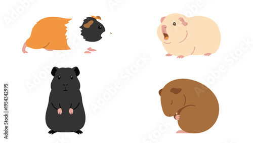 Set of adorable illustrated guinea pigs in various poses and colors, isolated on white