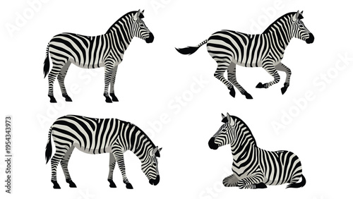 Zebra Poses Set: Standing, Running, Grazing, and Resting on White Background