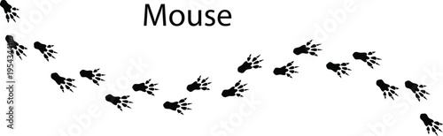 Mouse Footprint Silhouette Vector – Small Rodent Paw Print Track Icon EPS
