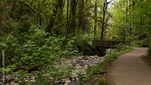 Lower Macleay Trail in Forest Park, Portland, Oregon