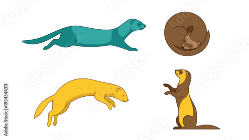 Cartoon Mustelid Animals Vector Set. Ferrets and Weasels in Various Poses: Running, Jumping, Sleeping, Standing.
