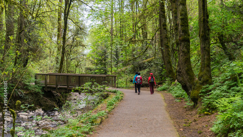 Lower Macleay Trail in Forest Park, Portland, Oregon