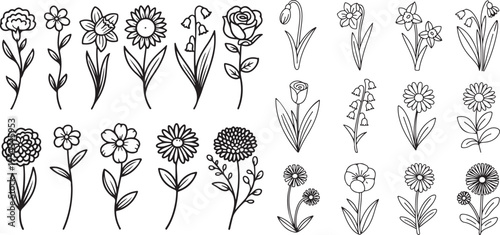 Hand drawn floral elements and bouquets simple botanical line art illustrations flowers and leaves for decoration crafting