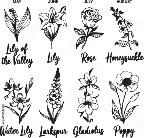 Beautiful flowers representing birth months from May to August perfect for floral calendars and greeting cards artistic illustrations