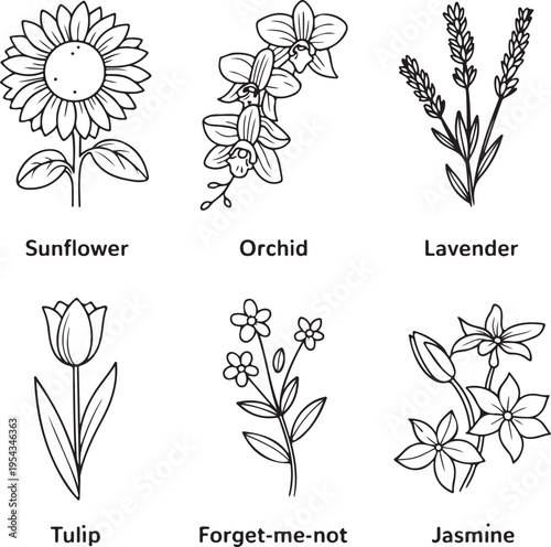 Collection of six popular flowers in line art style sunflower orchid lavender tulip forget me not jasmine easy to use