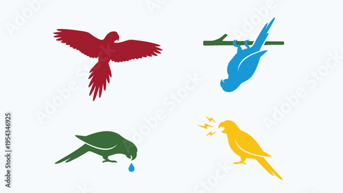 Colorful Parrot Silhouettes: Flying, Hanging, Drinking, Squawking Birds