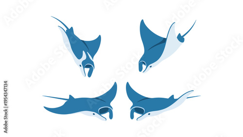 Stylized Manta Ray Set. Blue and white oceanic creatures in various swimming poses. Underwater marine life illustration.