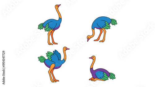 Colorful cartoon ostriches in various poses. Cute vector illustration of flightless birds on white background.