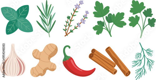 Flat vector herbs and spices collection basil rosemary thyme parsley dill garlic ginger chili cinnamon natural ingredients illustration set