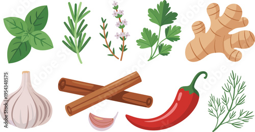 Flat vector herbs and spices set basil rosemary thyme parsley ginger garlic cinnamon chili pepper natural ingredients illustration collection